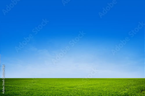 Blue green field landscape close up for background.