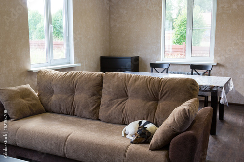 dog sleeps on couch in the living room of a country house