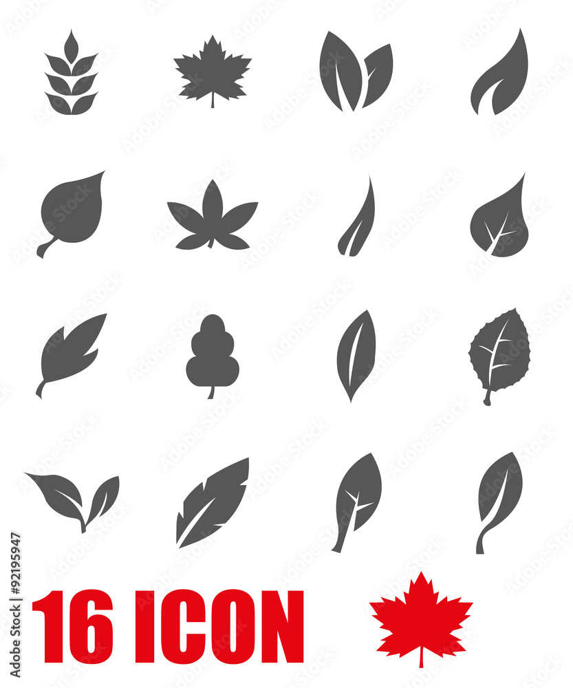 Vector grey leaf icon set