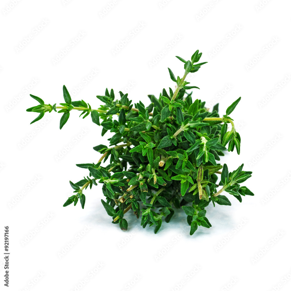 Thymian