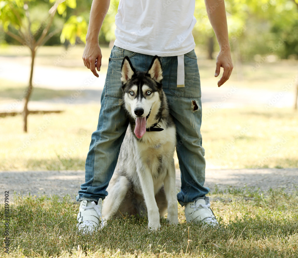 Young man with beautiful huskies dog in park Young man with beautiful huskies dog in park