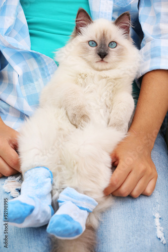 Young woman holding cat in socks, close-up © Africa Studio