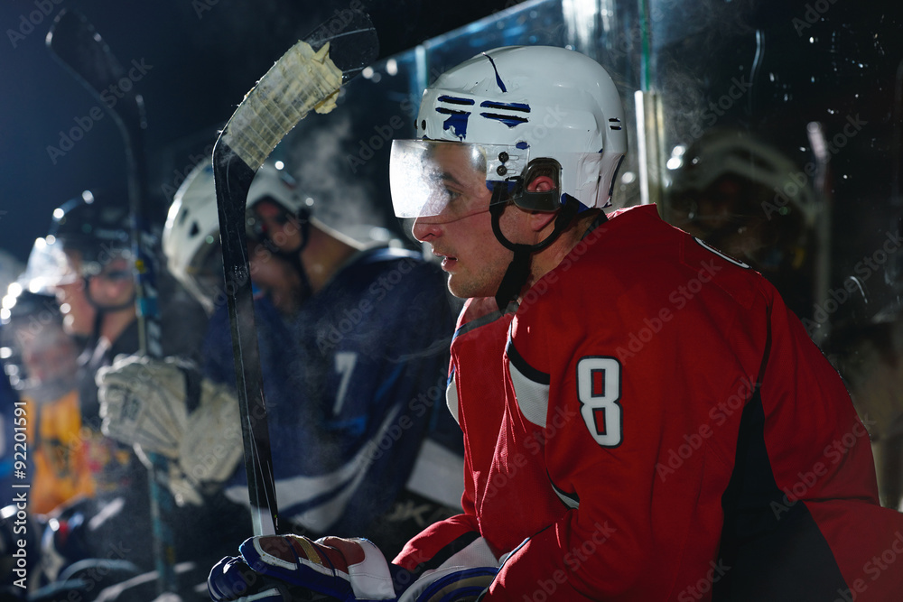 Fototapeta premium ice hockey player portrait