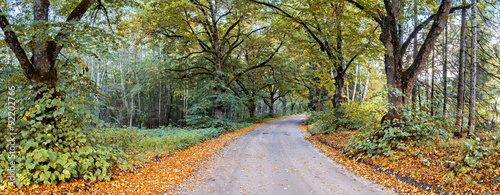 Fototapeta Naklejka Na Ścianę i Meble -  Countryside road in autumn, Europe