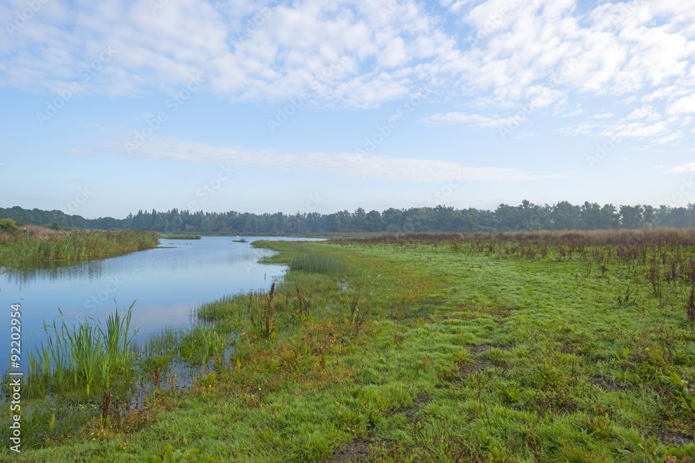 Shore of a lake under a blue cloudy sky in autumn