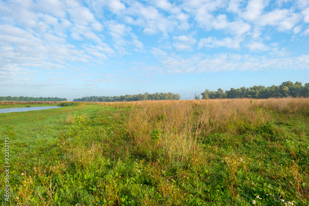 Shore of a lake under a blue cloudy sky in autumn Shore of a lake under a blue cloudy sky in autumn