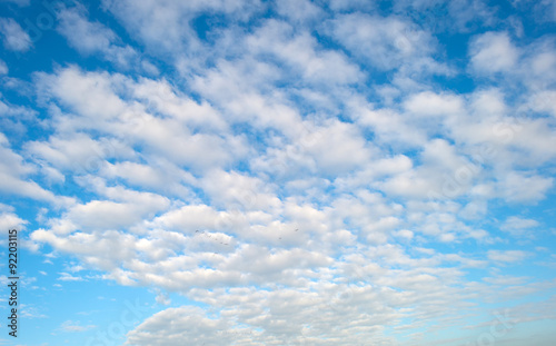 Geese flying in a blue cloudy sky in autumn