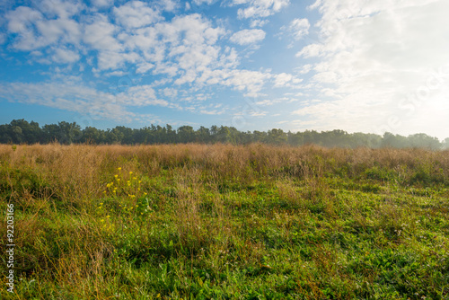 Field below a blue cloudy sky in autumn  