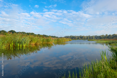 Fototapeta Naklejka Na Ścianę i Meble -  Shore of a lake under a blue cloudy sky in autumn