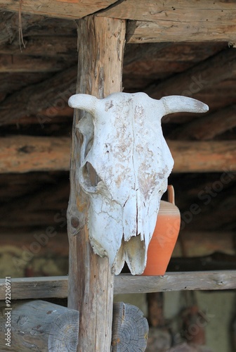 Коровий череп на столбе