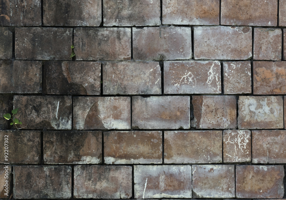 Obraz premium brick wall background