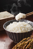 白米のご飯　Japanese rice KOME