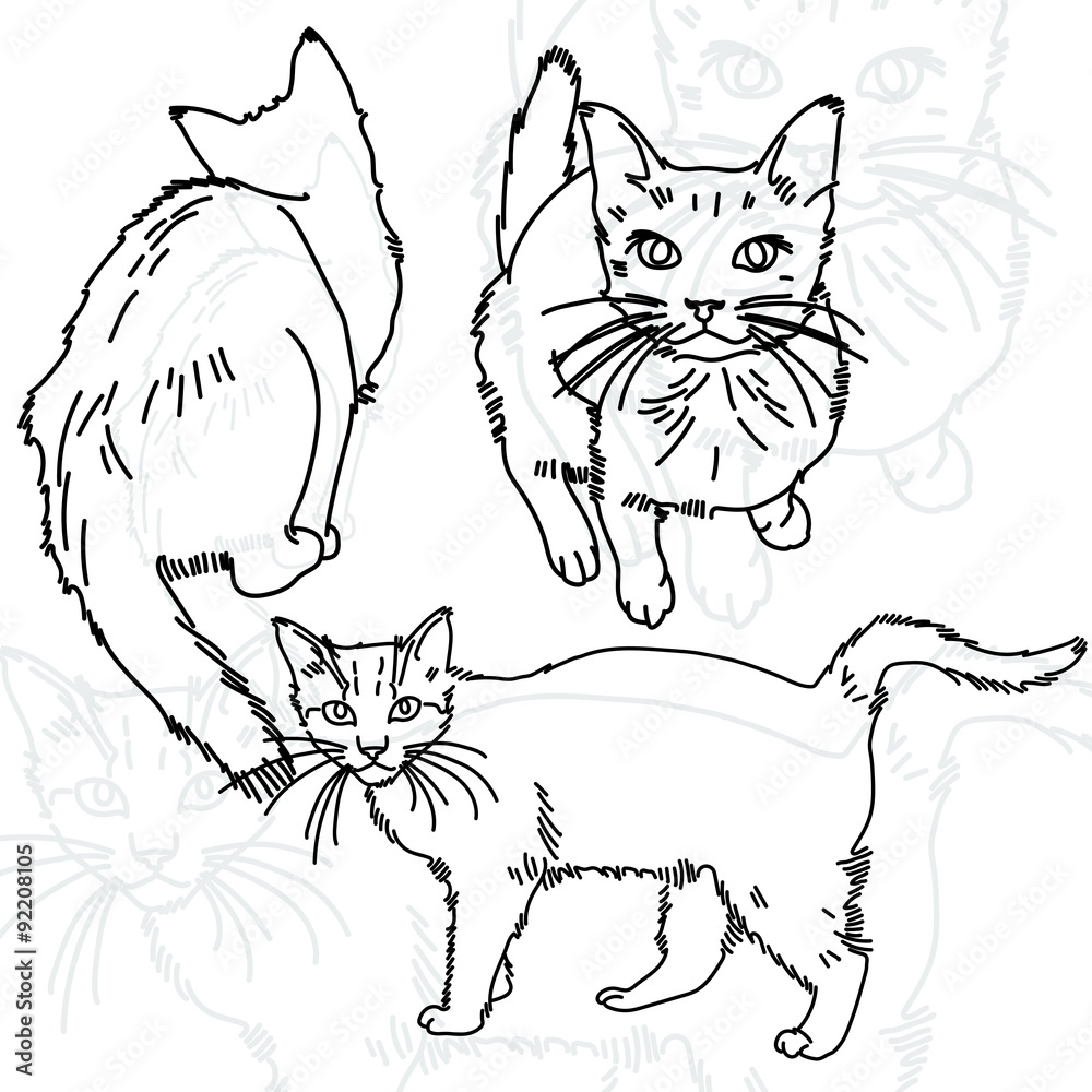 Vector illustration of three cats painted lines