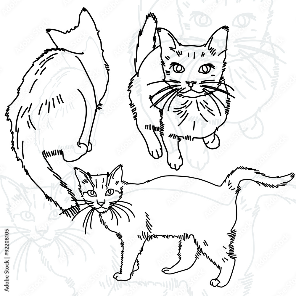 Vector illustration of three cats painted lines Vector illustration of three cats painted lines