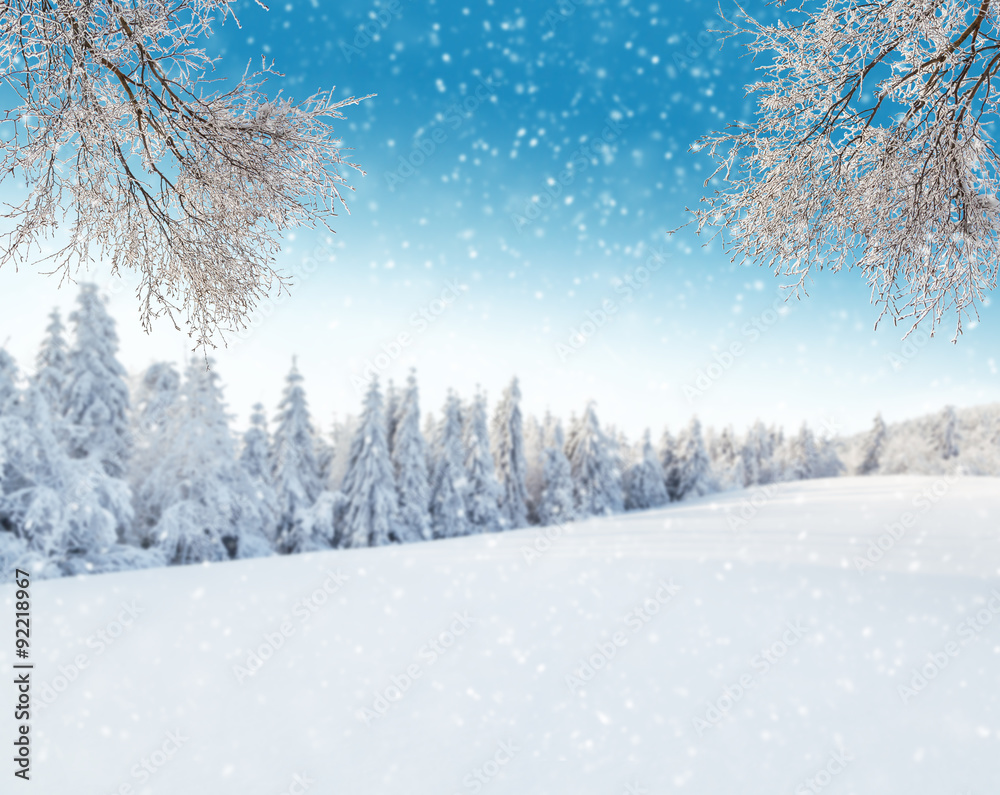 Winter landscape with tree branches - obrazy, fototapety, plakaty 