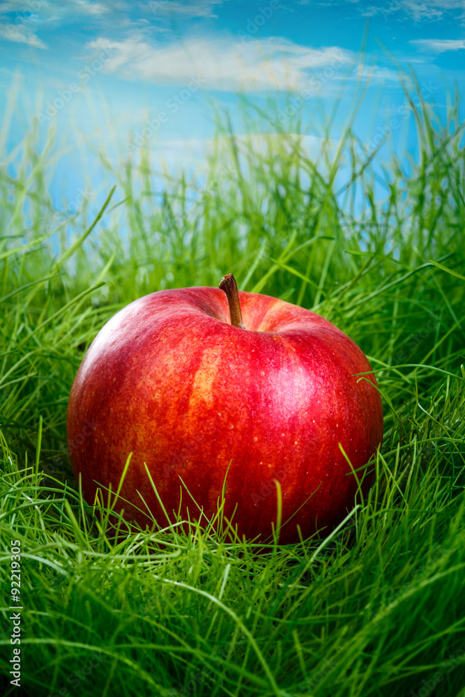 Apple on the grass