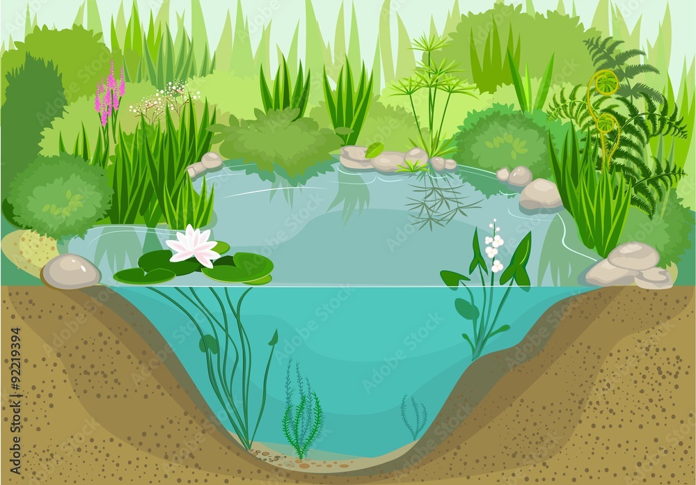 Fototapeta premium Pond