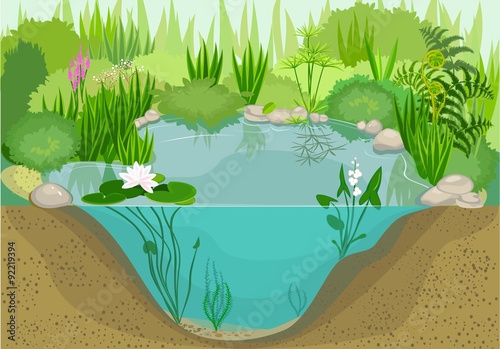 Pond