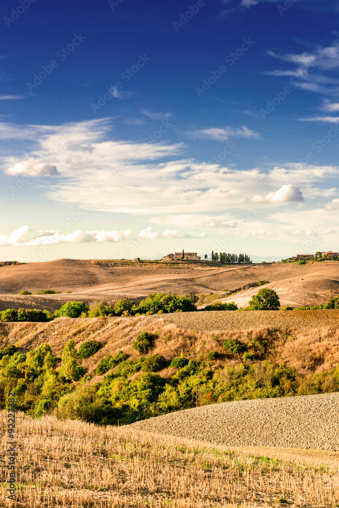 Naklejka premium Fields in Tuscany
