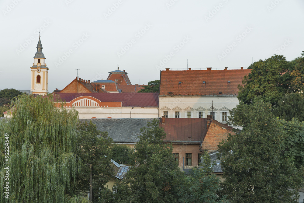 Berehove cityscape in Ukraine.