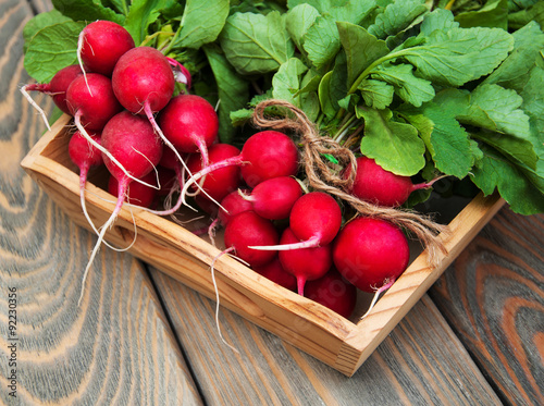 Fresh organic radish