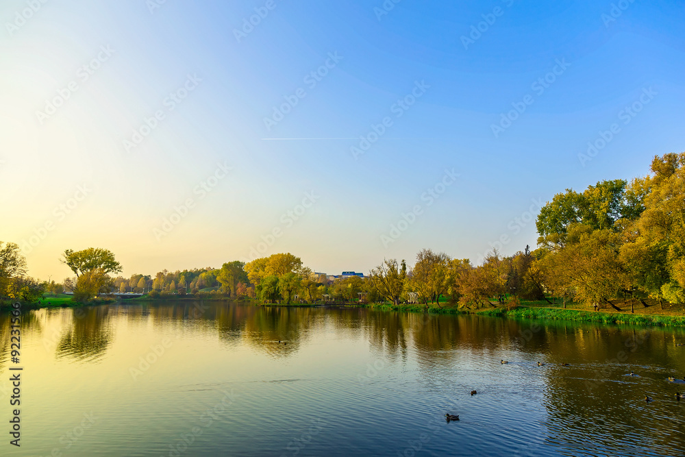 Obraz premium Autumn Landscape With Yellow Trees and Lake with Swimming Ducks at Sunset