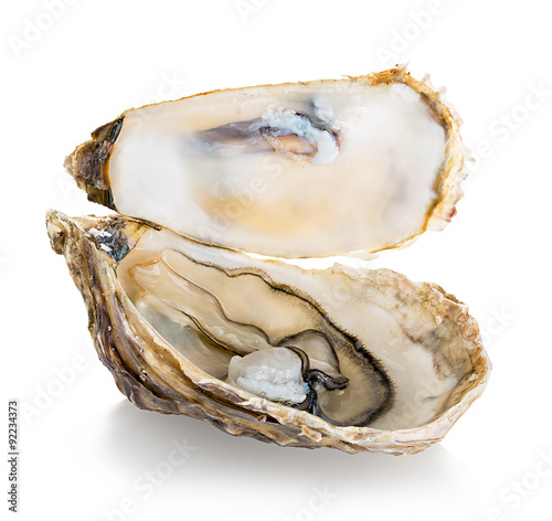Oyster isolated on a white background