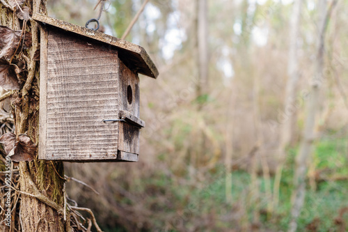 Pequeña casa de madera con finalidad de Nido para aves en el bosque 