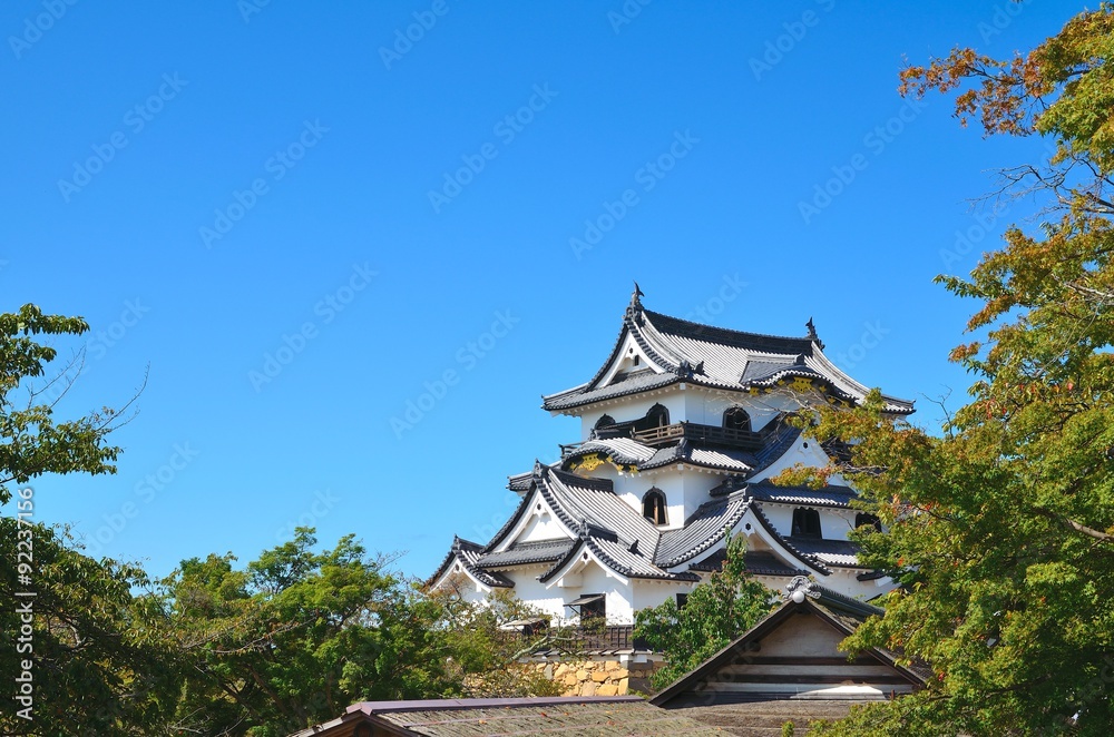 Fototapeta premium 彦根城天守閣