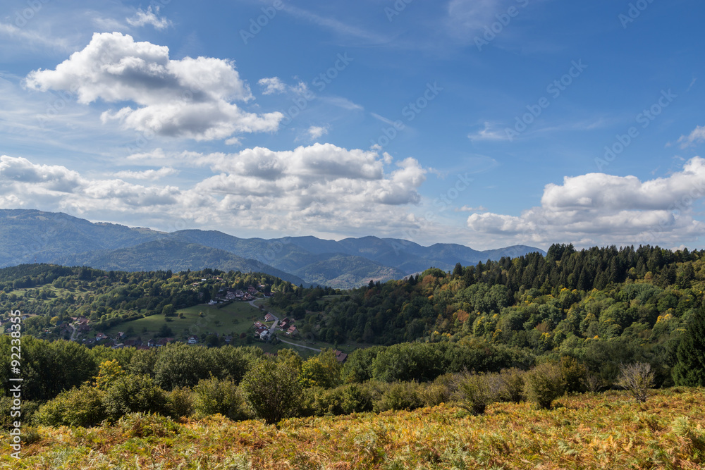 paysage d'Alsace