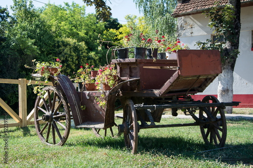 Old vintage Carriages with flowers photographed on a sunny day, in Zobnatica park near Subotica. Public entrance.