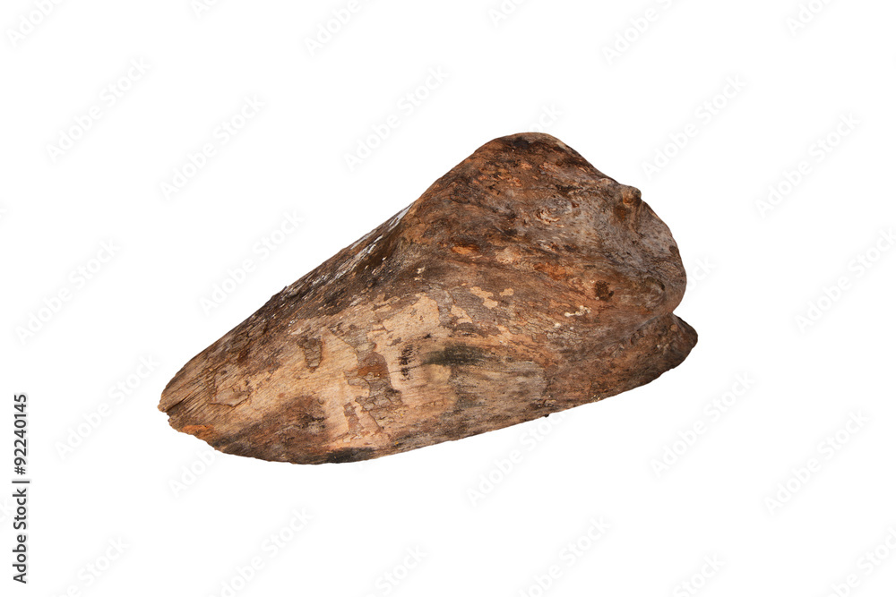 Log isolated on white background. Log isolated on white background.