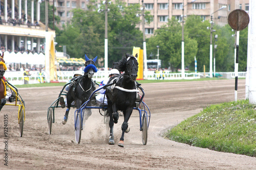 racehorse harnessed to the cart © wedmoscow