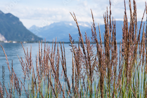 Fototapeta Naklejka Na Ścianę i Meble -  View on mountains and lake Geneva