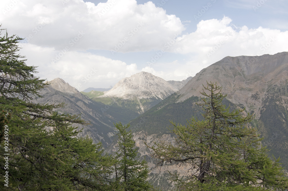 Obraz premium Alpine nature / The Alps are the highest and most extensive mountain range system that lies entirely in Europe, across Austria, France, Germany, Italy, Liechtenstein, Monaco, Slovenia, and Switzerland