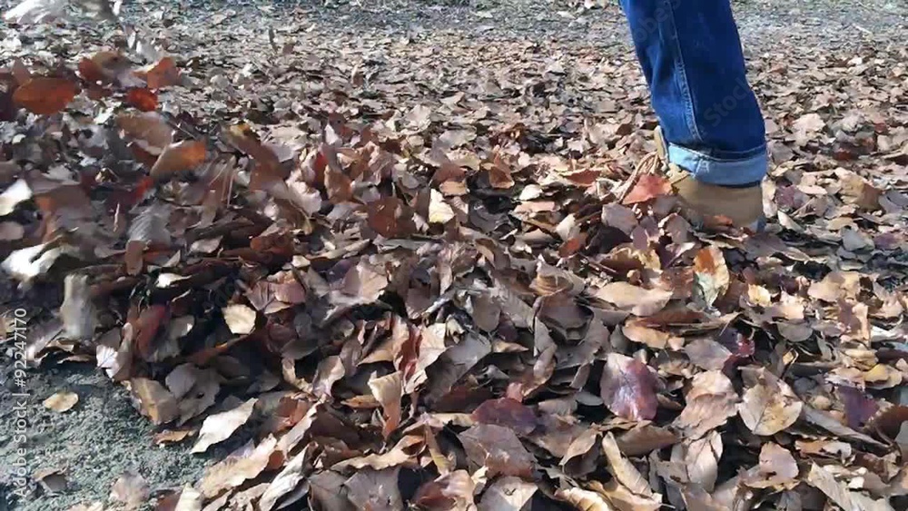 Legs of a man walking on fallen leaves, slow motion Legs of a man walking on fallen leaves, slow motion