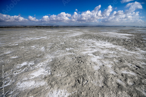 Flamingo's footsteps on a Cyprus Limassol salt lake