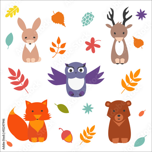 Forest Animals