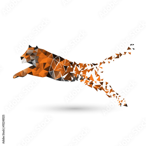 Tiger of polygons