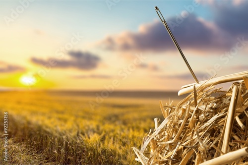 Fotografia, Obraz Needle in a Haystack.