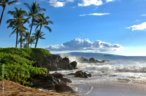 Photographie Plage tropicale hawaïenne avec des palmiers, Maui, Hawaii, États-Unis