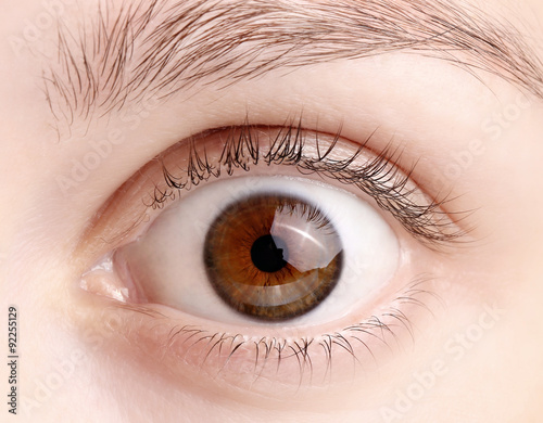 Macro image of wide open female brown eye