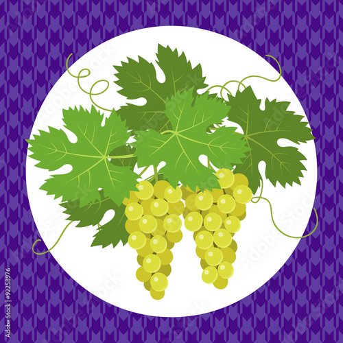 White grapes with leaves on violet background