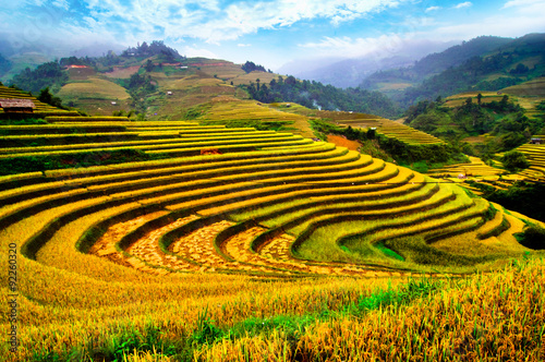 Rice fields on terraced of Mu Cang Chai, YenBai, Vietnam 