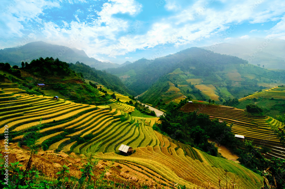 Fototapeta premium Rice fields on terraced of Mu Cang Chai, YenBai, Vietnam. Rice fields prepare the harvest at Northwest Vietnam.