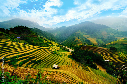 Rice fields on terraced of Mu Cang Chai  YenBai  Vietnam. Rice fields prepare the harvest at Northwest Vietnam.