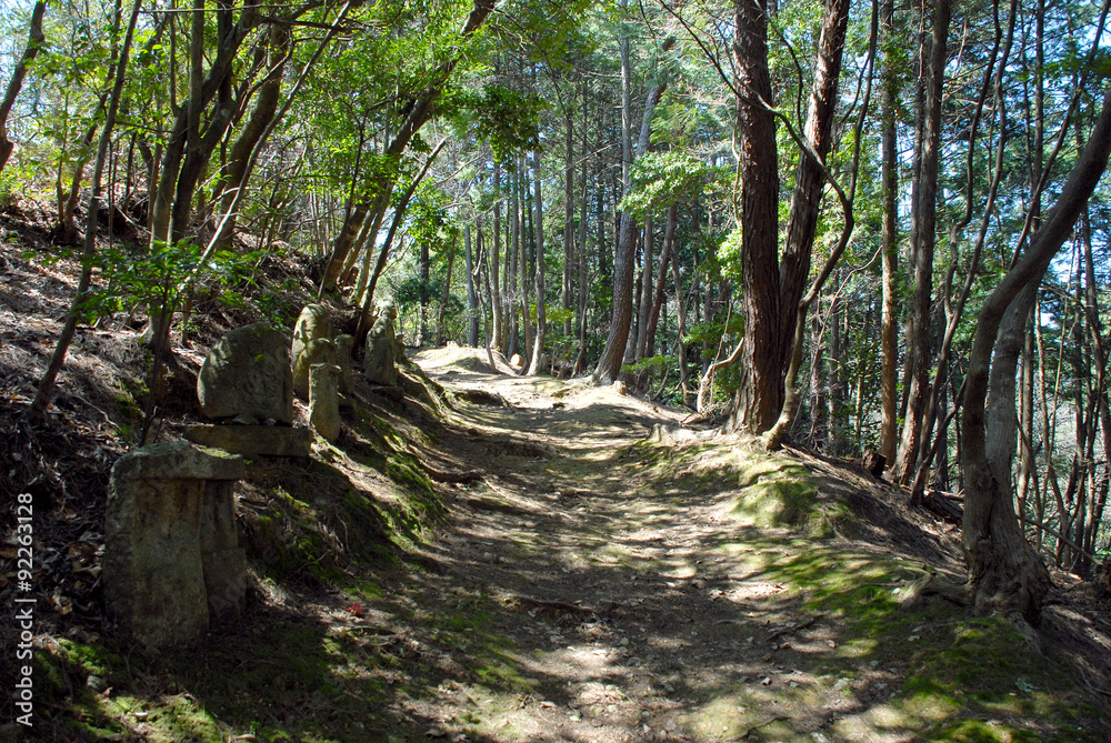 Obraz premium 杣道