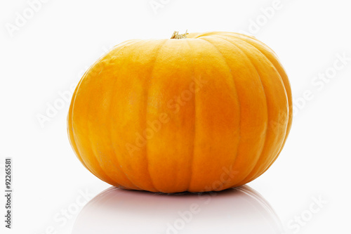 Riesen-Kürbis (Cucurbita maxima), weisser Untergrund, Freistell photo