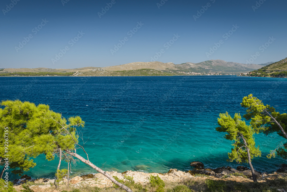 Amazing beach with crystal clear sea water and pines trees in Croatia.