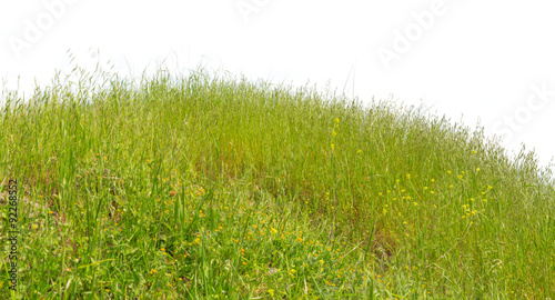Fototapeta Naklejka Na Ścianę i Meble -  Green hill grass summer natural isolated on white background